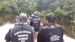 Semana tem decisão polêmica de Bolsonaro instituto chico mendes bolsonaro meio ambiente radio corredor 255x143 - Semana tem decisão polêmica de Bolsonaro