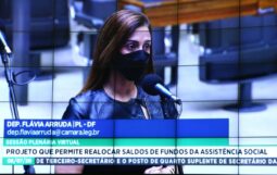 Um Passarinho Me Contou flaviaarruda 255x161 - Um Passarinho Me Contou