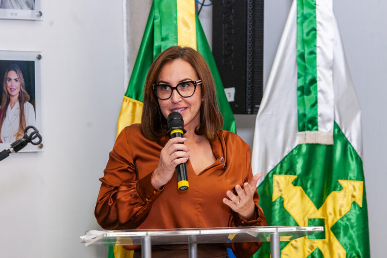 Balanço de Dayse Amarilio na Procuradoria da Mulher