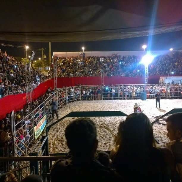 rodeio
