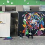 Castra DF: Um Verdadeiro Albergue de Amor, Cuidado e Esperança para Animais