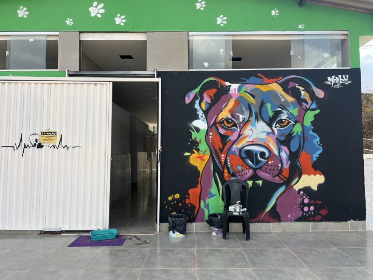 Castra DF: Um Verdadeiro Albergue de Amor, Cuidado e Esperança para Animais