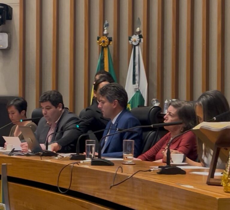 Sessão solene celebra lideranças do Plano Piloto; Pedrosa reforça importância da participação cidadã
