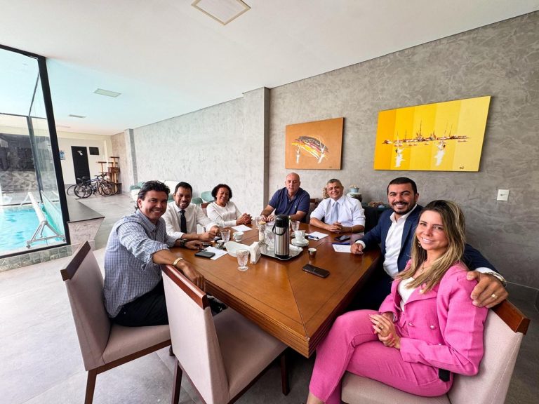 Luís Miranda, Democrata e Cargo a disputar