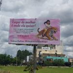 A Onça da Arniqueira em Alta Resolução