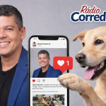 Pauta animal vira ouro nas redes e Daniel Donizet dispara em engajamento no DF