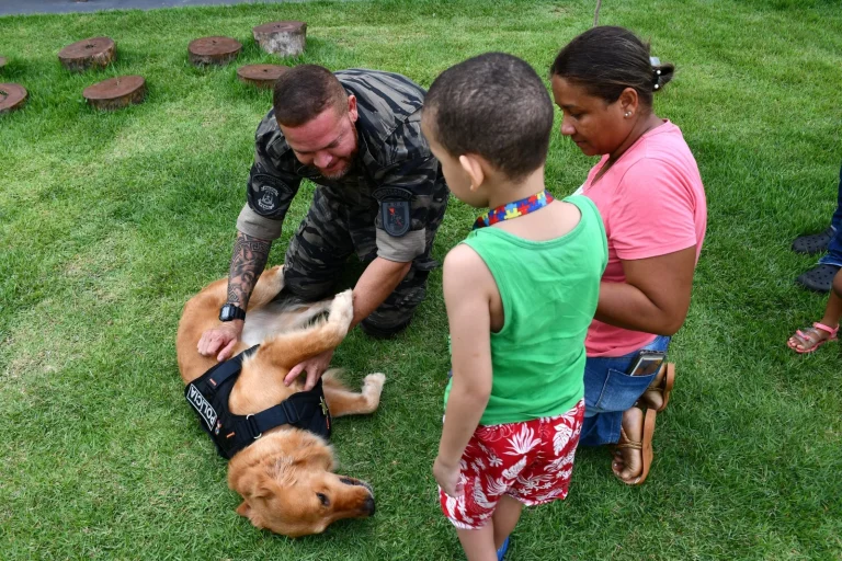 Ceilândia recebe centro inédito de proteção animal com foco em terapia e adoção responsável