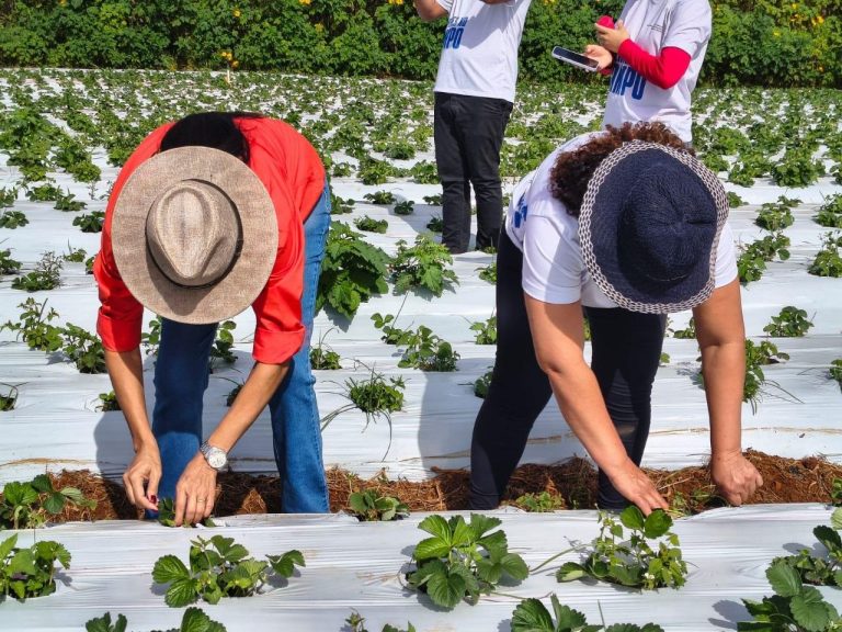 Feira Mulheres no Campo acontece neste sábado (23)