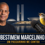 O Passarinho Conta Que Estão Tirando O Pé de Anjo Para Bobo