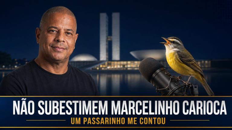 O Passarinho Conta Que Estão Tirando O Pé de Anjo Para Bobo